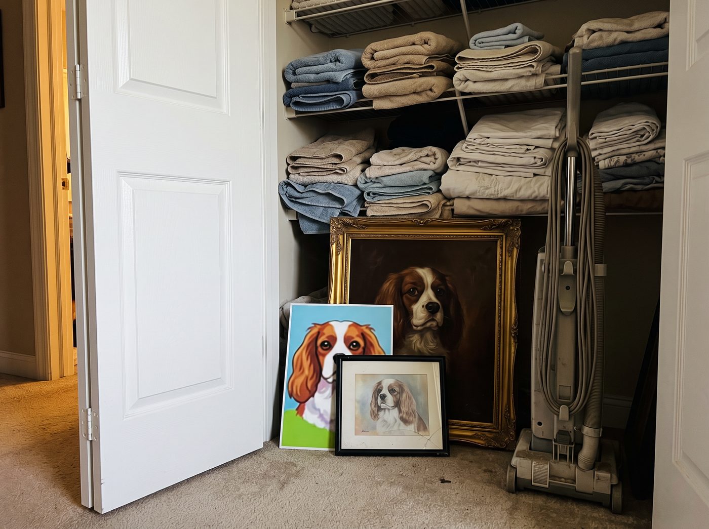 Three disappointing portraits of a Cavalier King Charles spaniel leaning against each other on the floor of a linen closet
