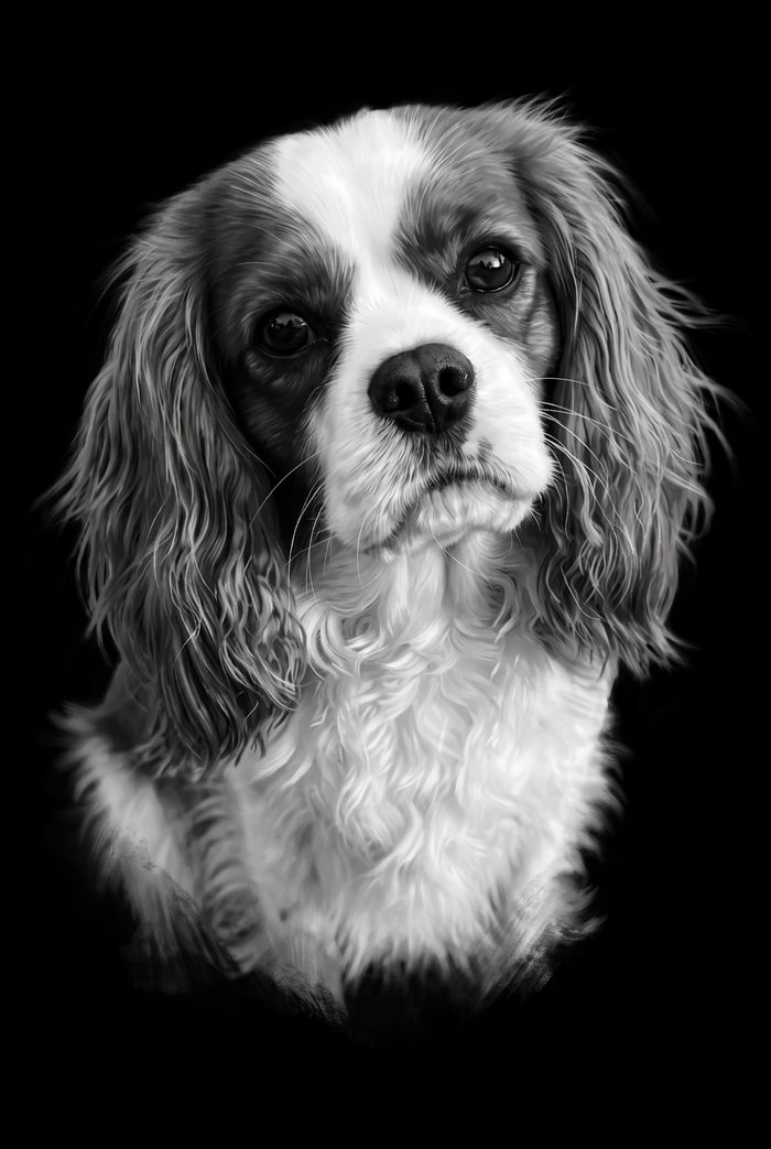 Charlie in the Black and White style on a black background