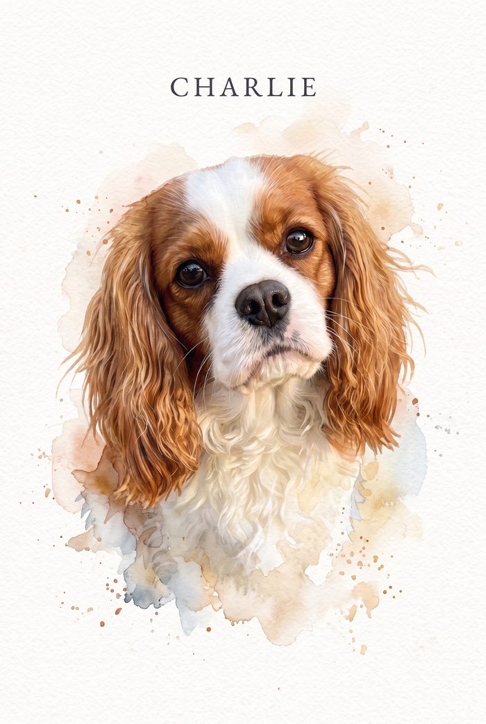 Charlie in the Watercolor style